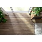 Legnar Acoustic KINESAWA TÖLGY wood floor 5.3/0.55 