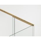 ORIANA 120 Soft-Close Tolóajtó, Gold szálcsiszolt, 8mm transzparent biztonsági üveggel (200*120 cm)